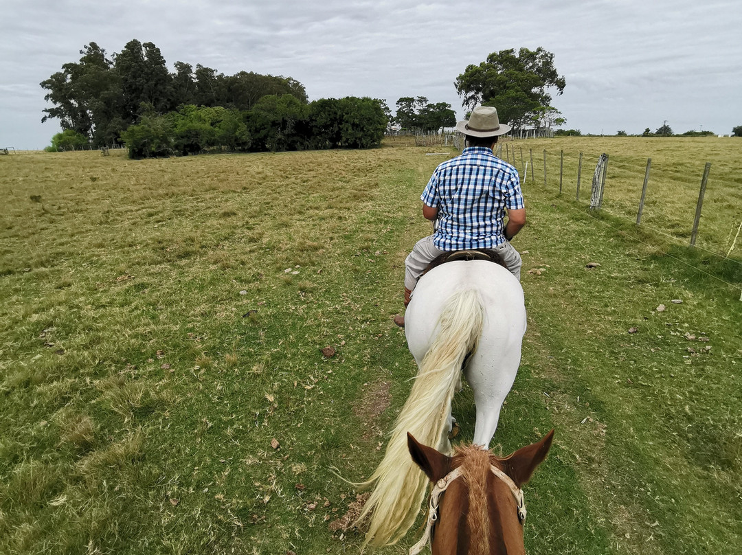 Estancia Hosteria El Ceibo主图