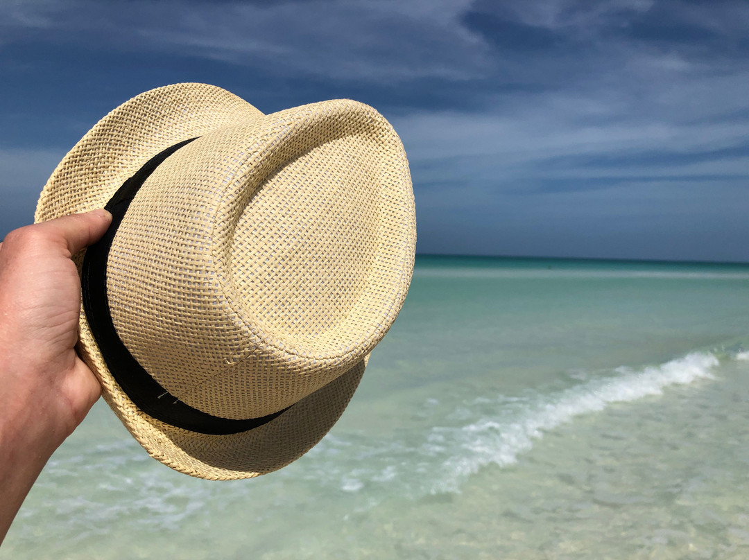 Hostal Colonial Alelusa主图