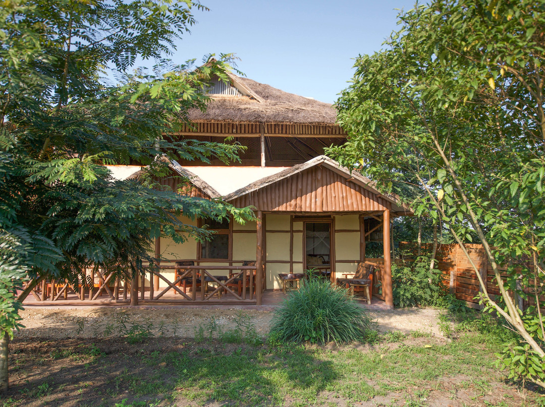 Kambuga酒店住宿-Ishasha Tree Climbing Lions View Lodge