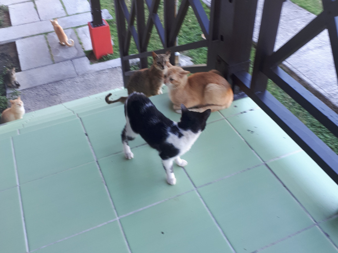 Hotel Maria La Gorda主图