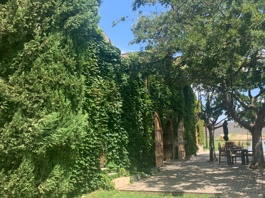 Springfield Estate Winery-Robertson必去景点