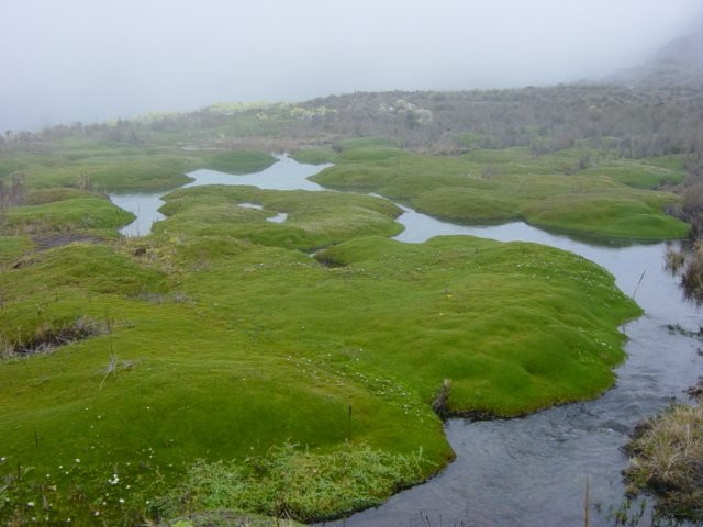 Parque Nacional Natural Los Nevados-Manizales必去景点