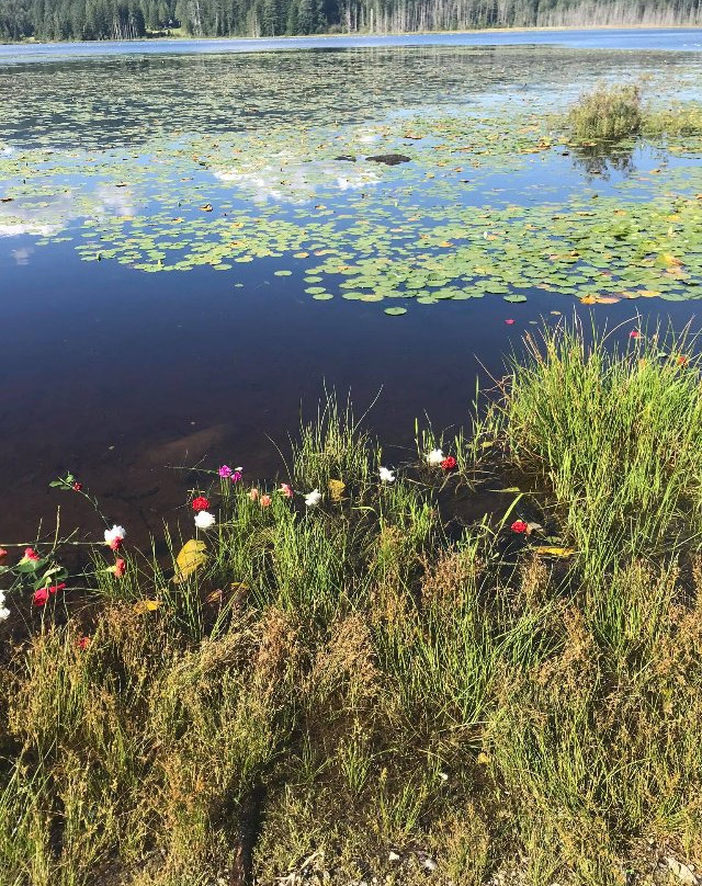 Whonnock Lake-枫树岭必去景点
