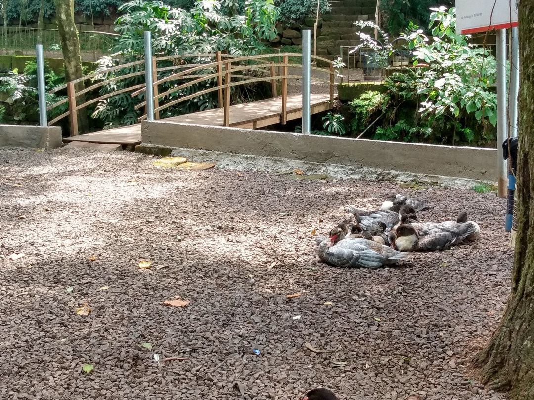 Parque do engenho-Lajeado必去景点