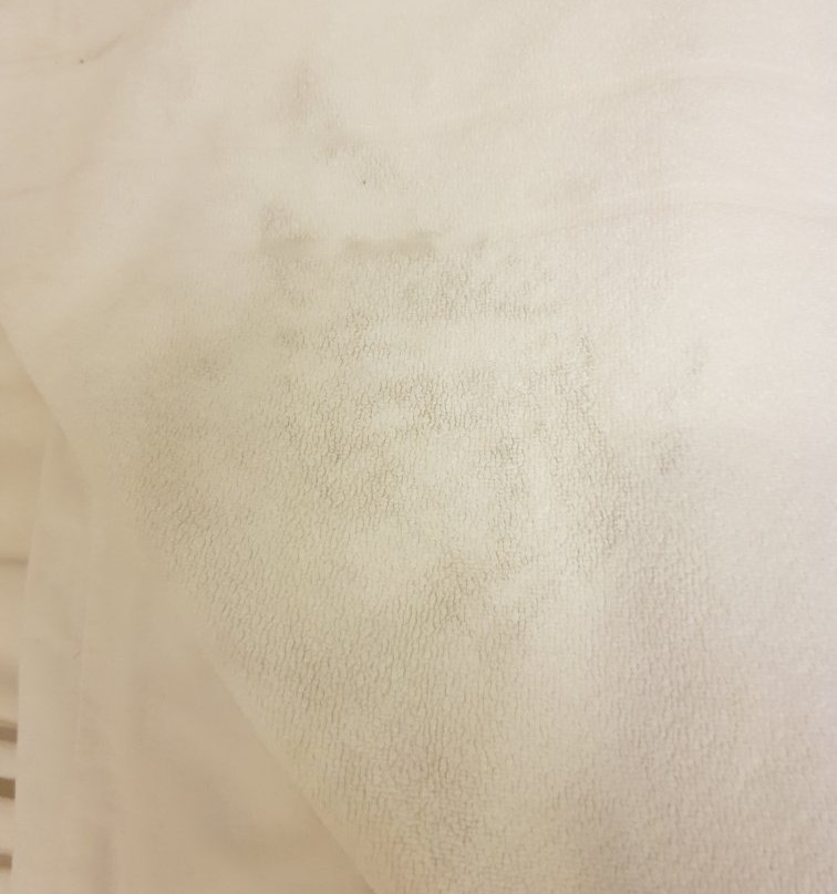 宜必思尚品蓬塔波朗酒店主图