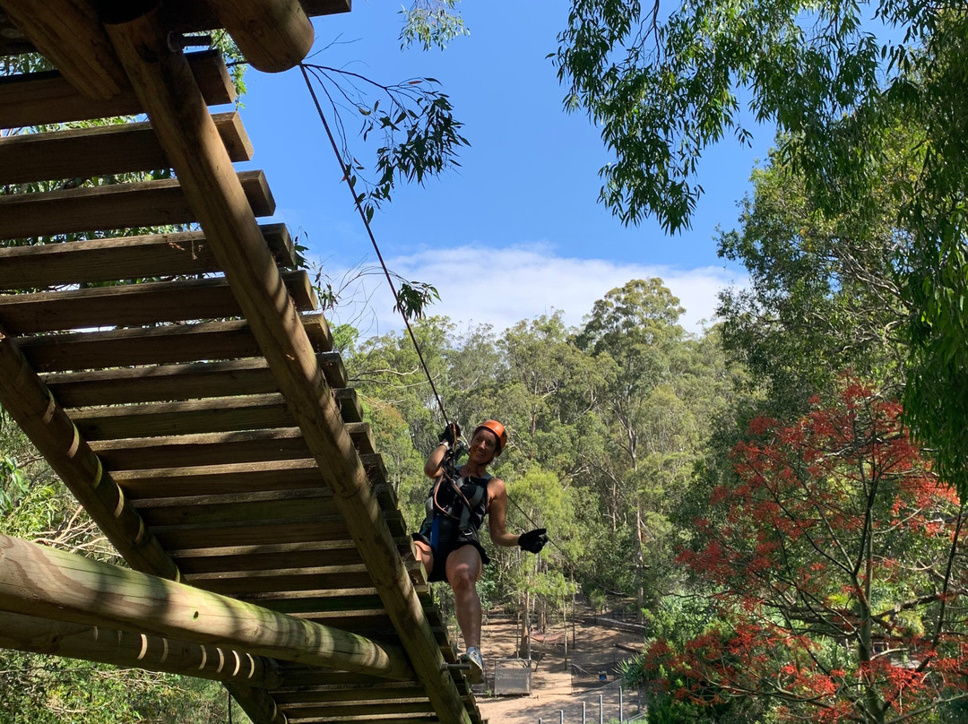 Treetop Challenge-可伦宾必去景点