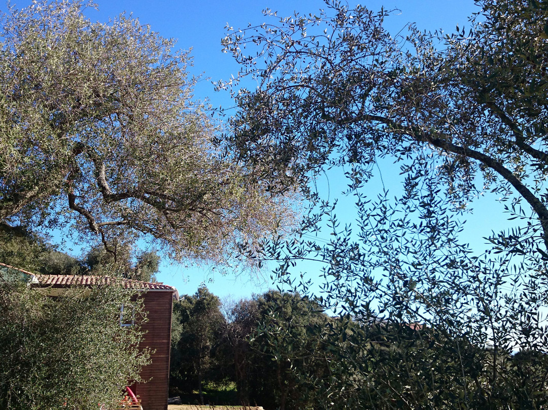 La Pampa Chambres d'hotes Cargese主图