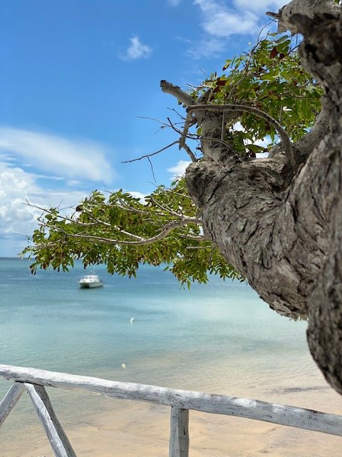 杜艮海滩旅舍主图