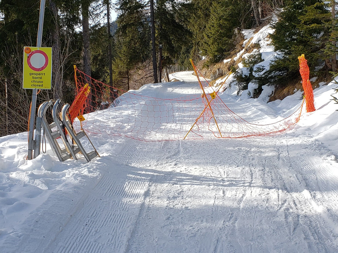 Summer Toboggan Run Schatzalp-达沃斯必去景点