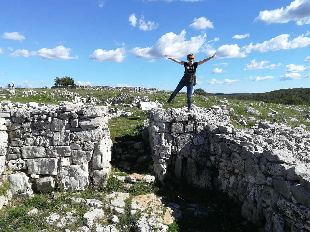 Tours by Histria Guide-波雷奇必去景点