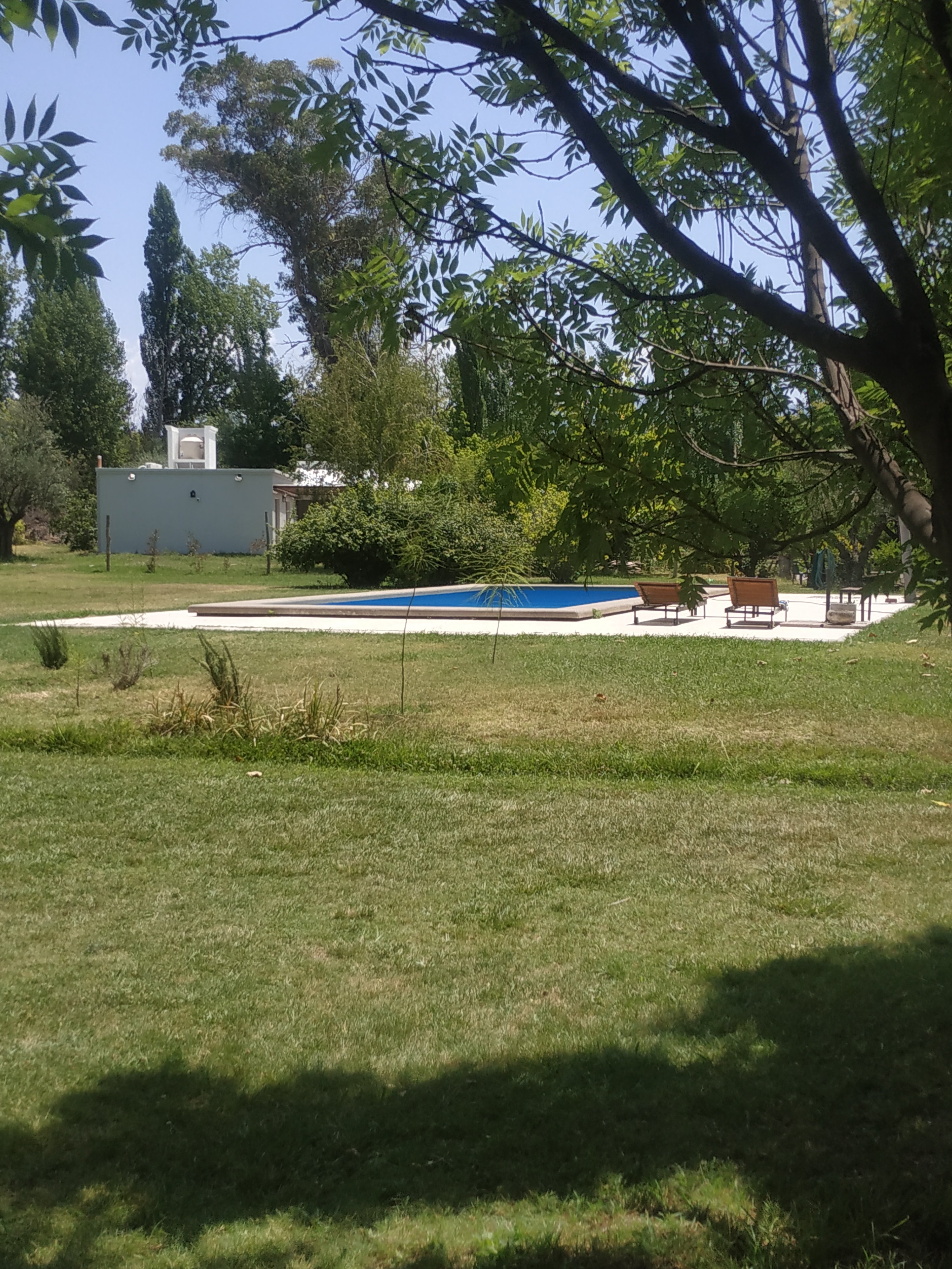 Posada Olivar-官方