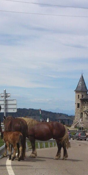 La Bonaigua Hotel主图