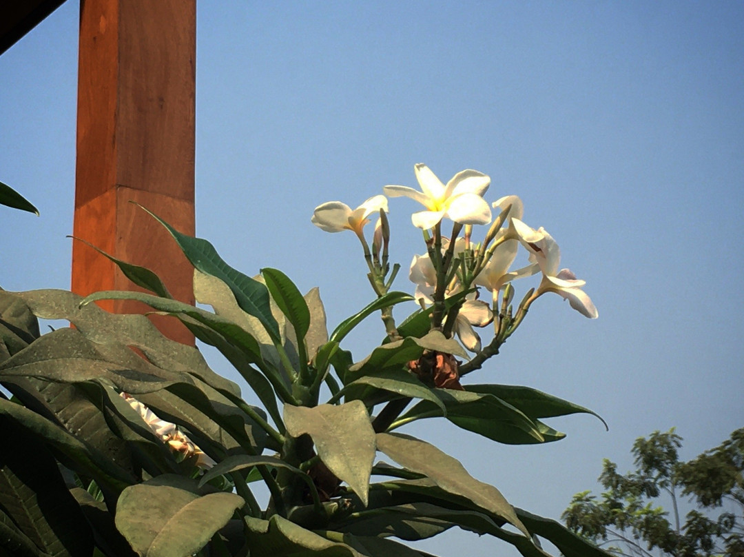 Lily Skincare & Spa-万象必去景点