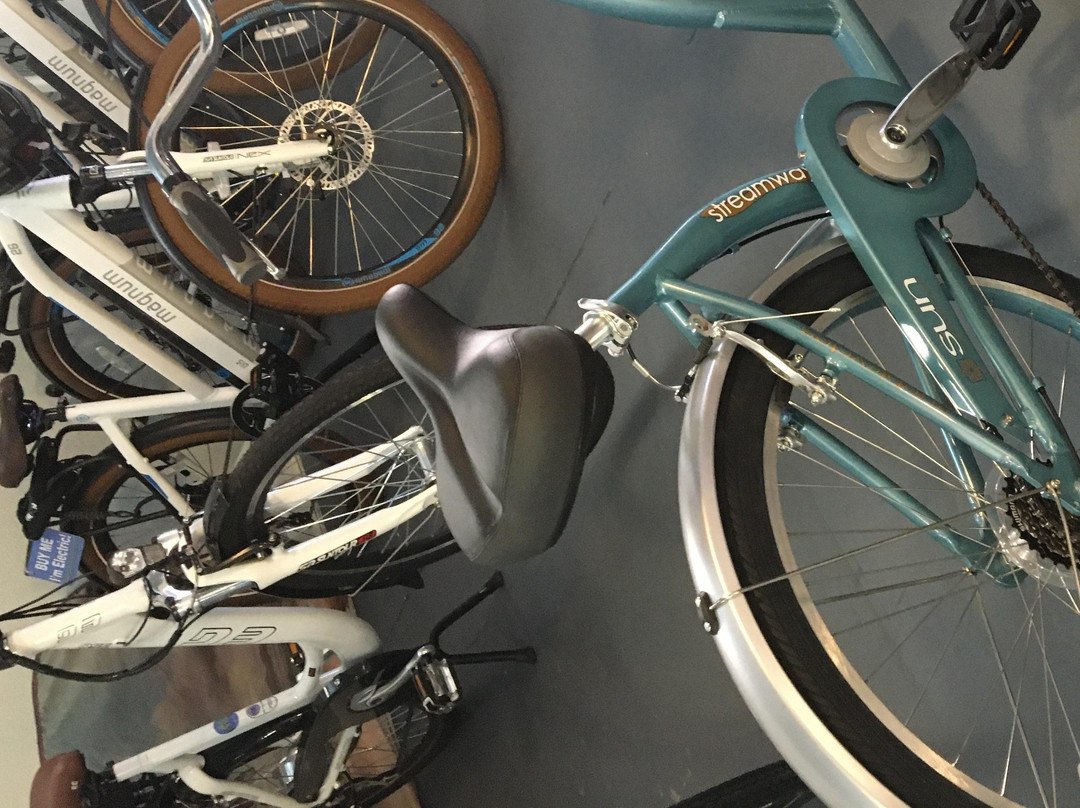 Big Bam eBikes-威尼斯必去景点