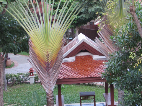 苏梅岛布里海滩度假酒店主图