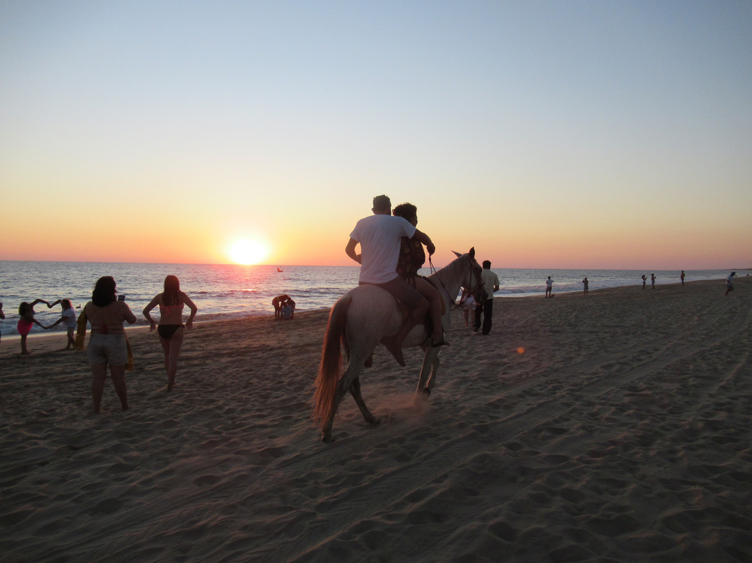 Playa Pie de la Cuesta-阿卡普尔科必去景点