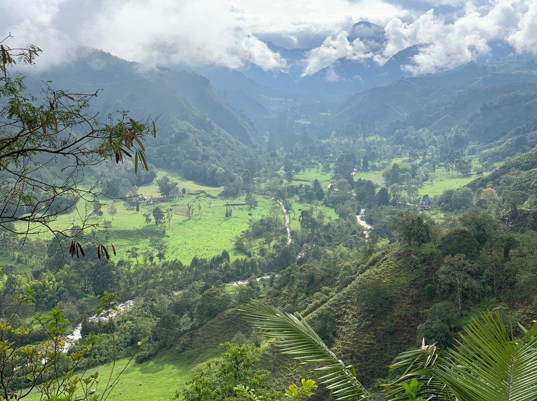 Cocora酒店住宿-Salento Finca Hotel