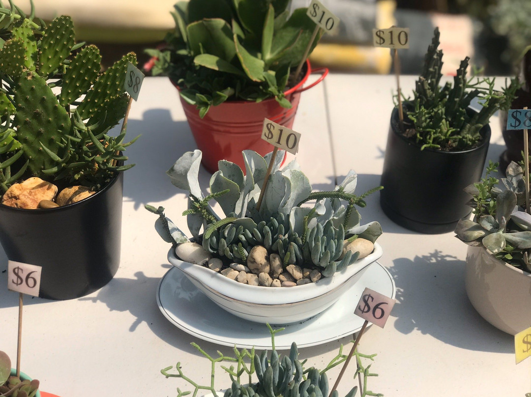 St Andrews Market-St Andrews必去景点