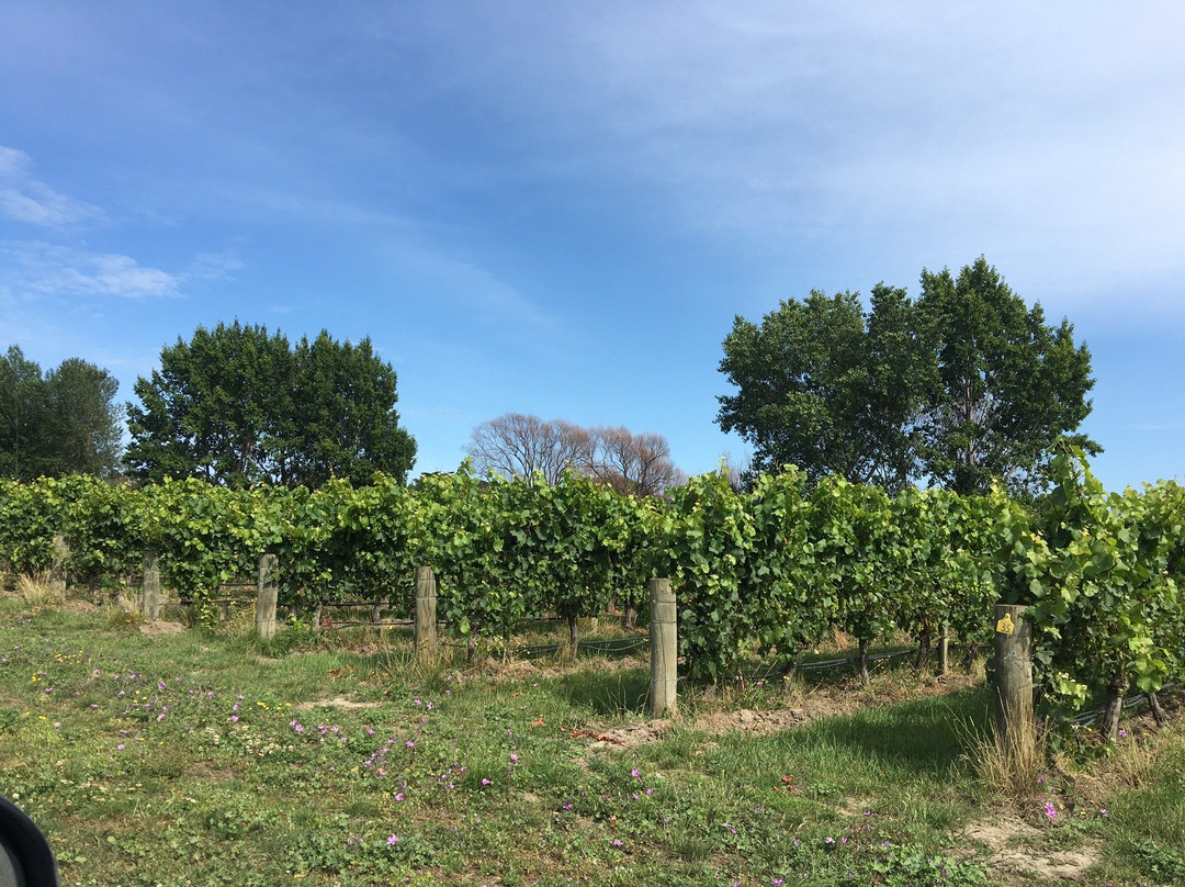 Dog Point Vineyard景点图片