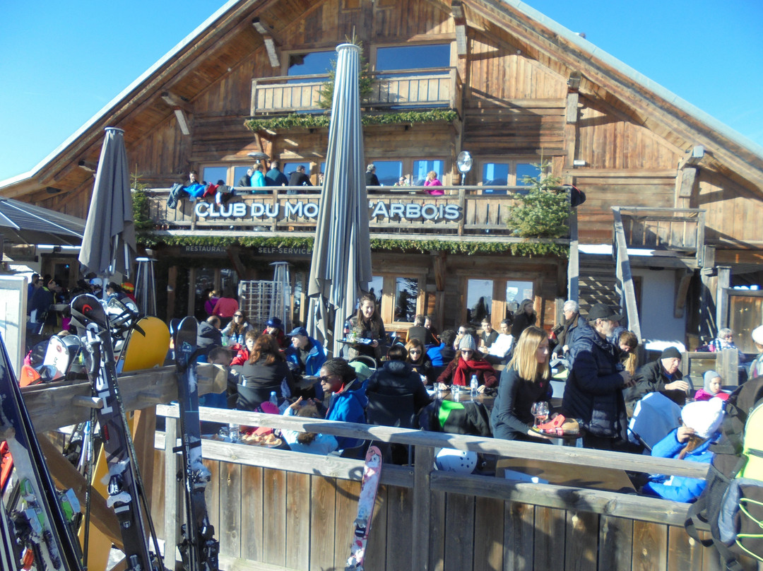 Mont d'Arbois Ski Area景点图片
