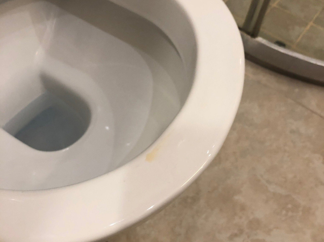 City Hotel Miskolc主图