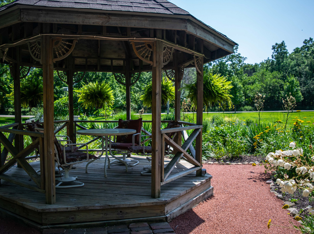 Lazy Cloud Lodge Bed and Breakfast主图