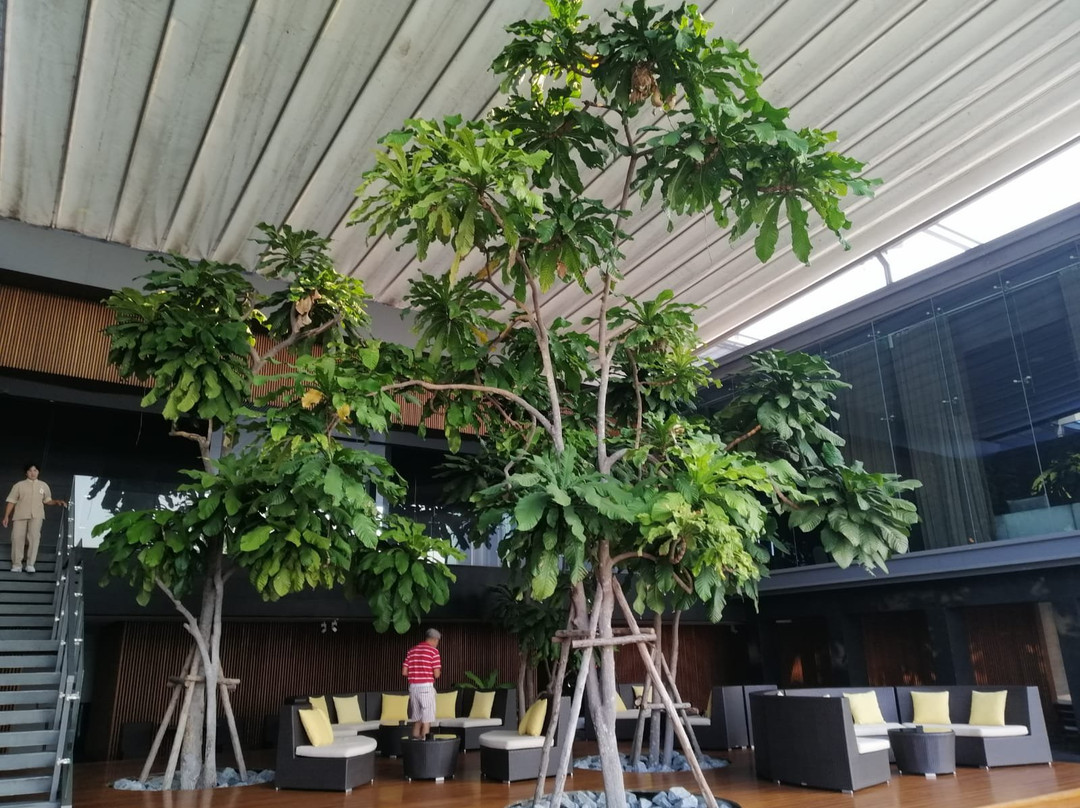 Nikanti Golf Club-佛统必去景点