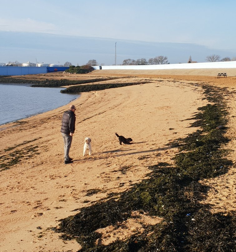 Thorney Bay Beach景点图片