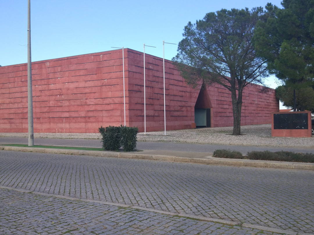 Centro de Interpretação da Batalha de Atoleiros景点图片
