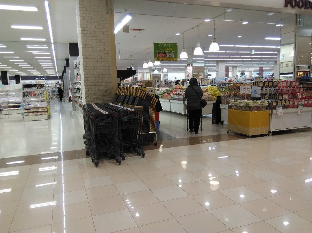 Peony Walk Higashimatsuyama-东松山市必去景点