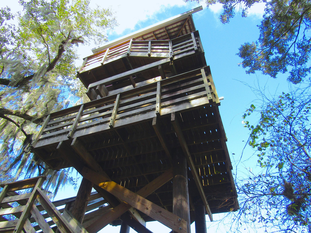 Paynes Prairie-盖恩斯维尔必去景点