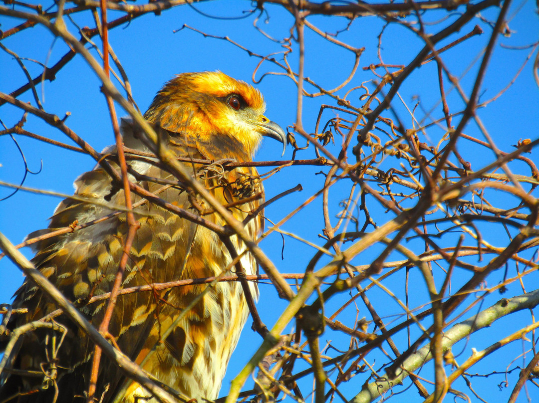 La Chua Trail-盖恩斯维尔必去景点