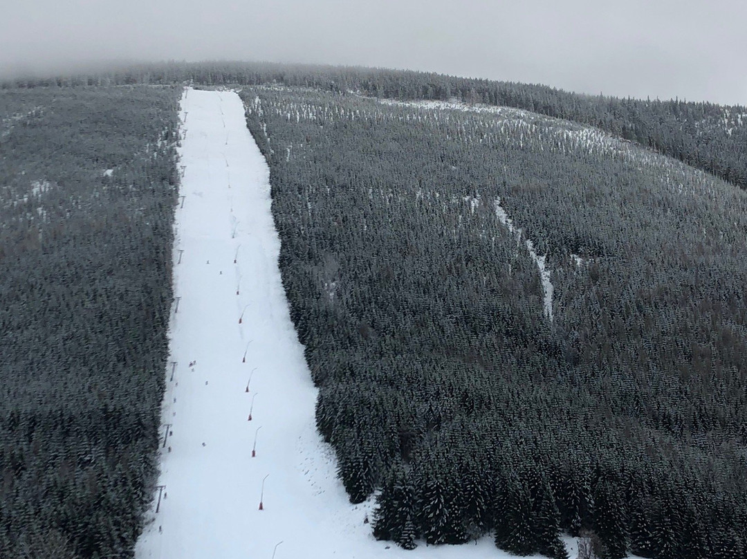 Pension Slunecnice主图