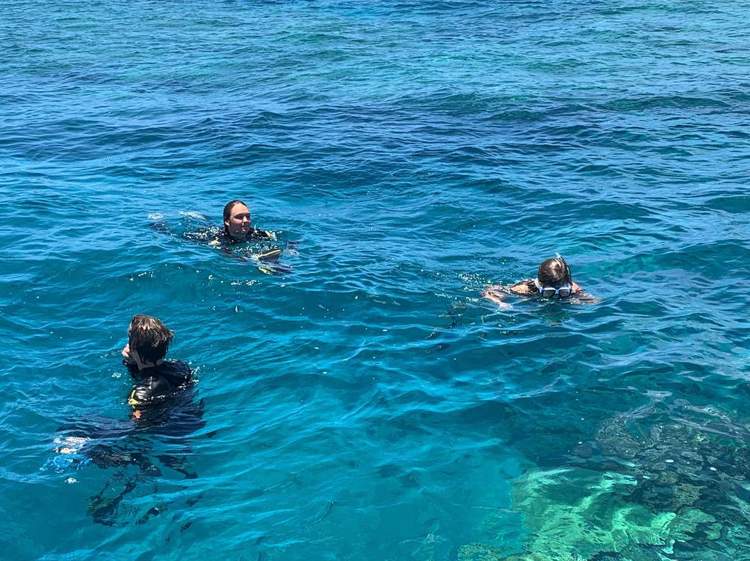Pro Dive Magnetic Island-Nelly Bay必去景点