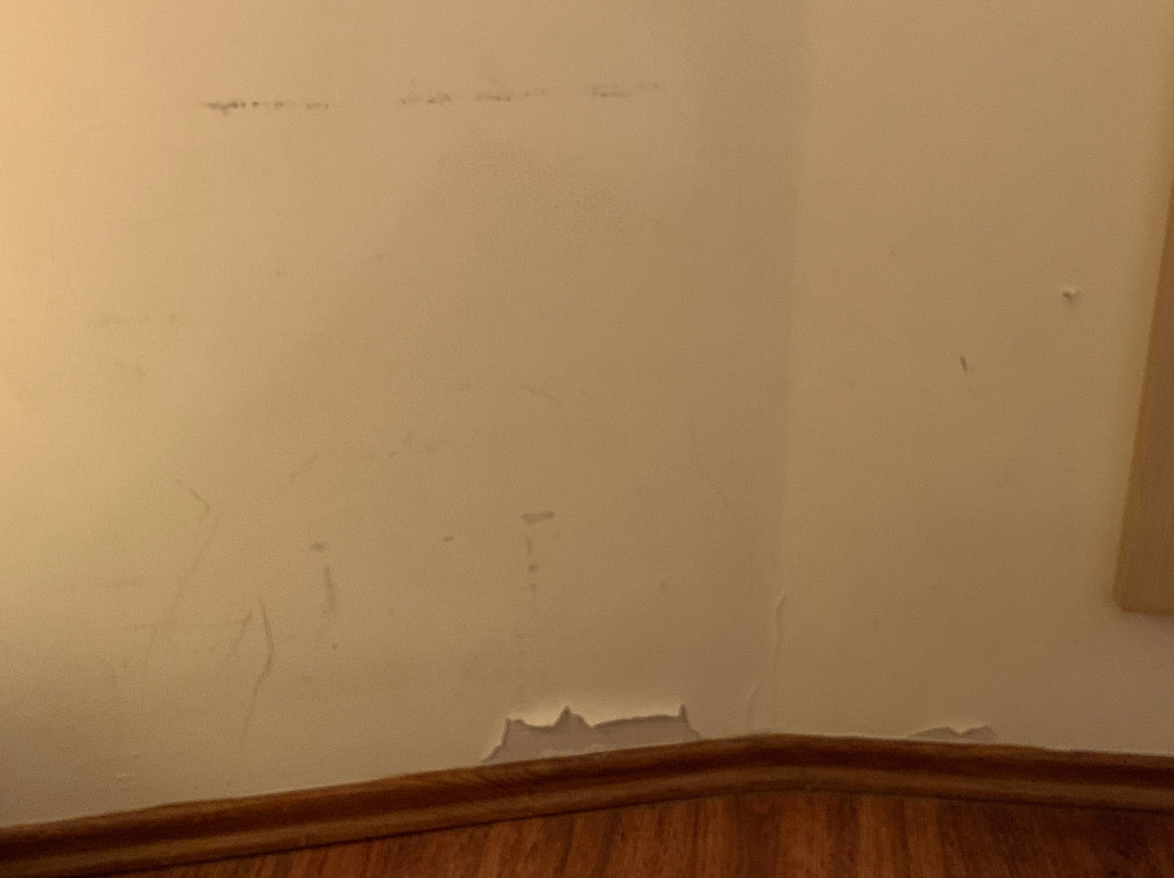 Davitel The Tobacco Hotel主图