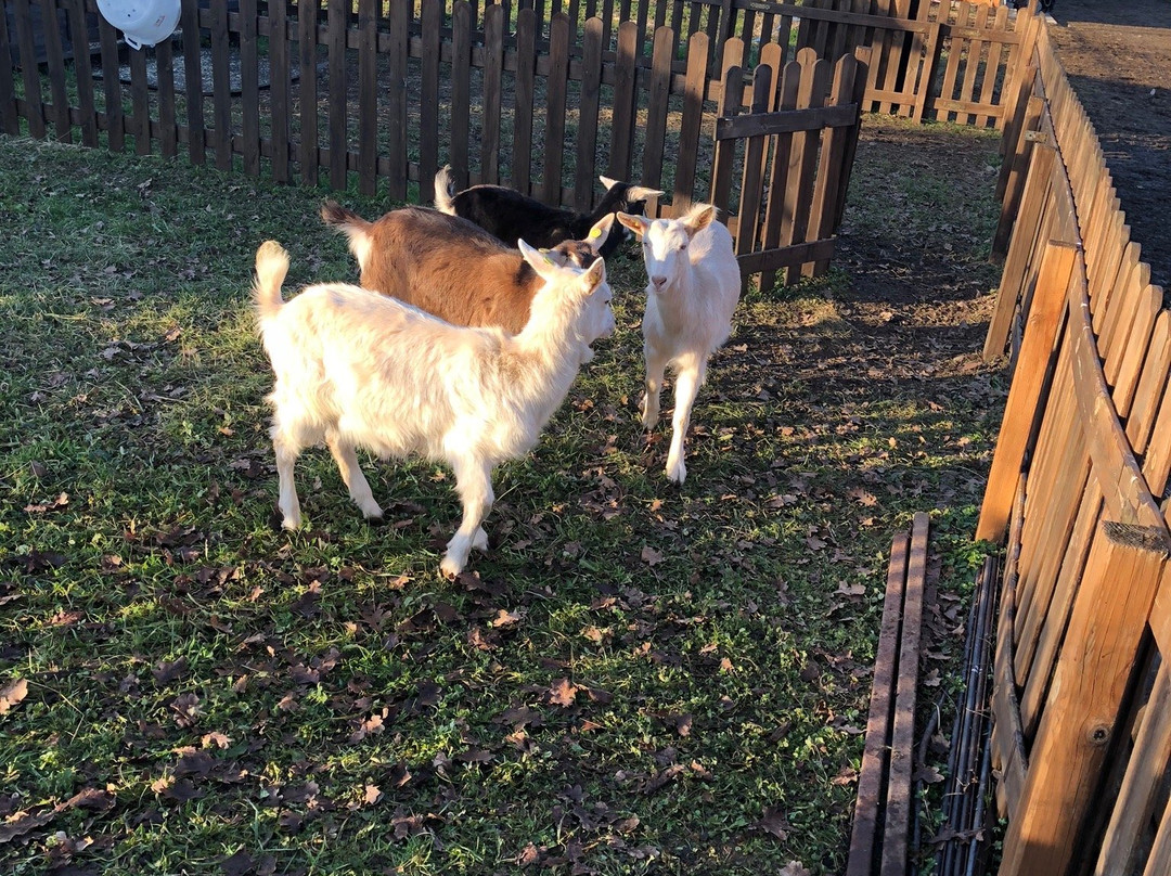 Agriturismo Cascina Aguzza主图