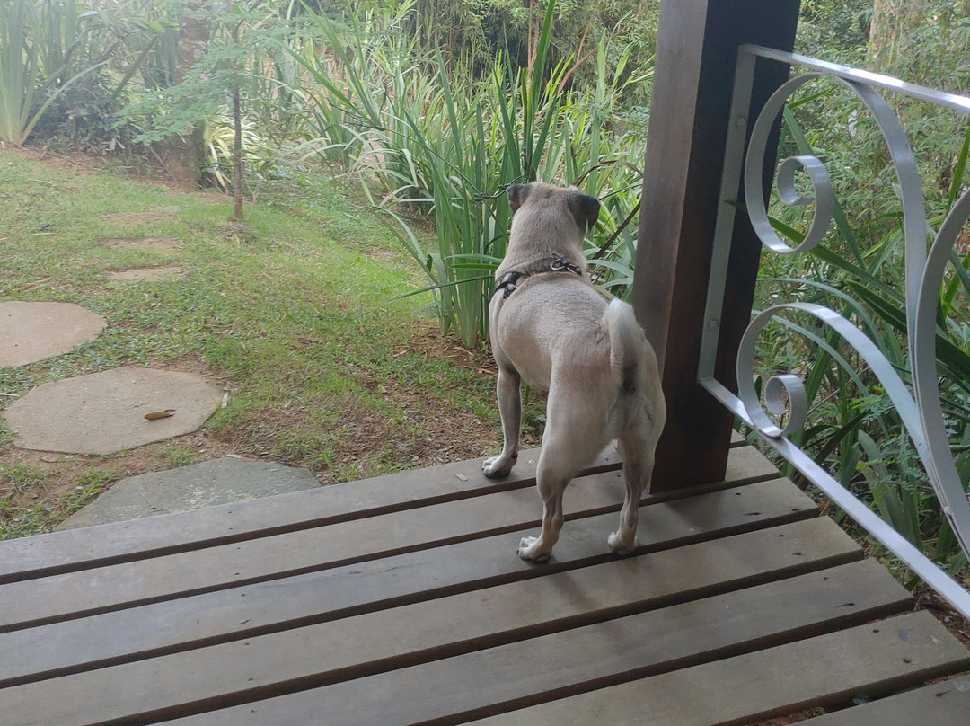 Pousada Encanto da Bocaina主图