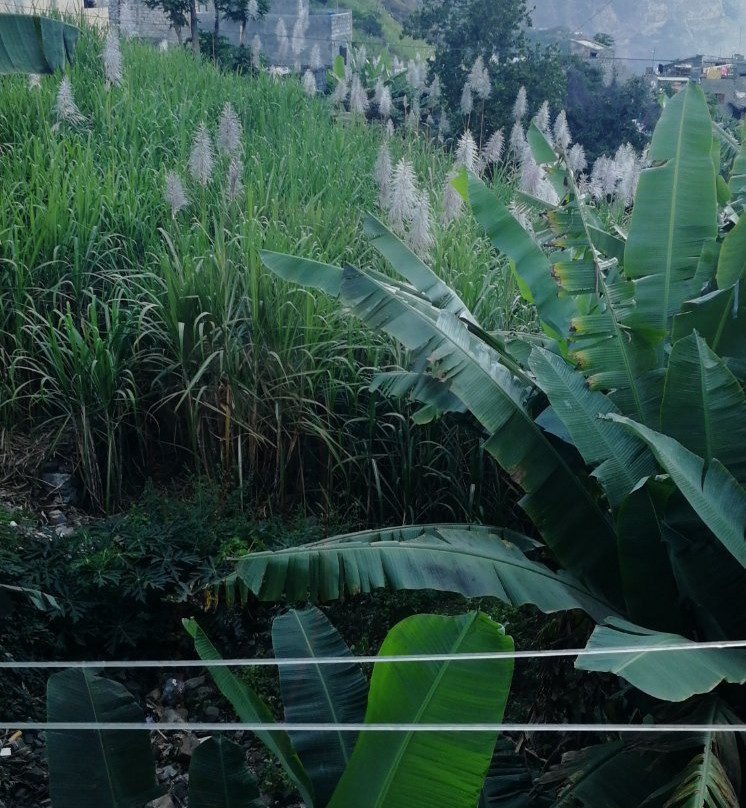 Pension Chez Sandro主图