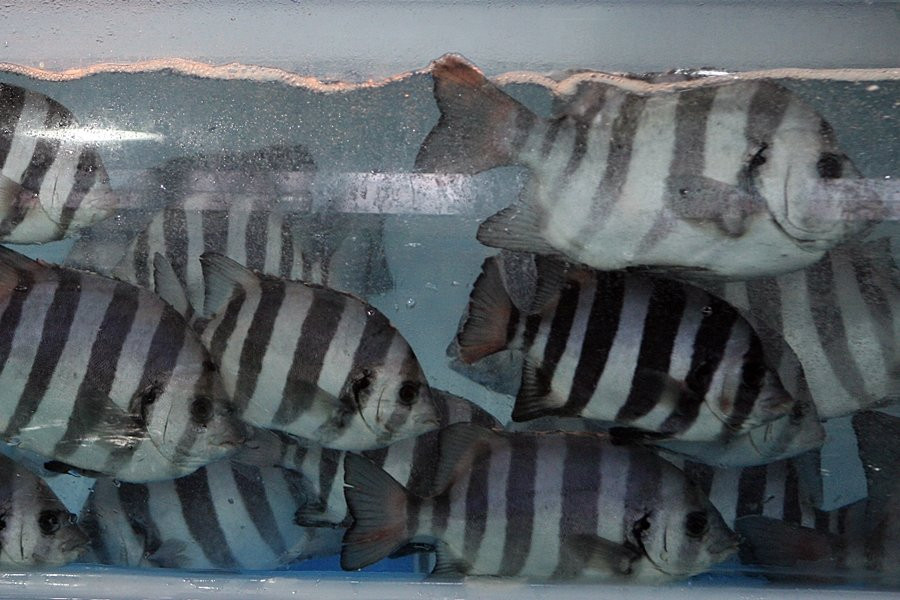 Suhyup Susanmul Center-高兴郡必去景点