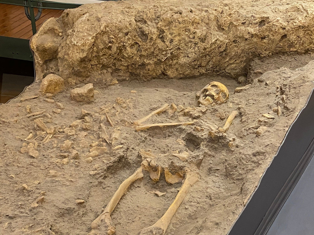 Museo Civilta Preclassiche della Murgia Meridionale-奥斯图尼必去景点