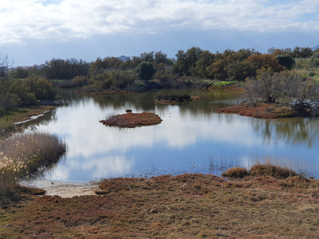 Parque del Guadalhorce景点图片