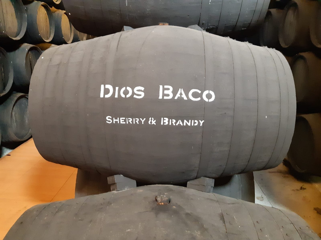 Bodegas Dios Baco-赫雷斯德拉弗隆特拉必去景点