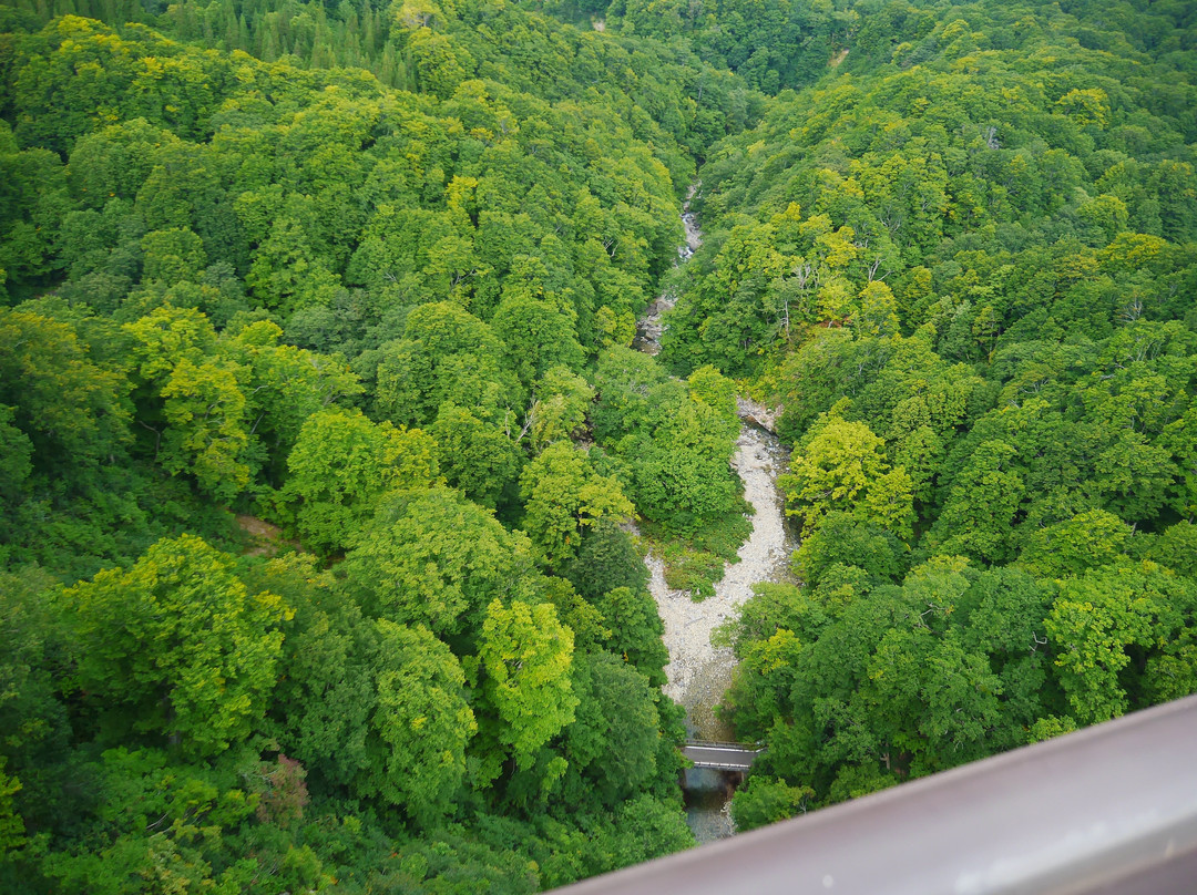 Jogakura Stream-青森市必去景点