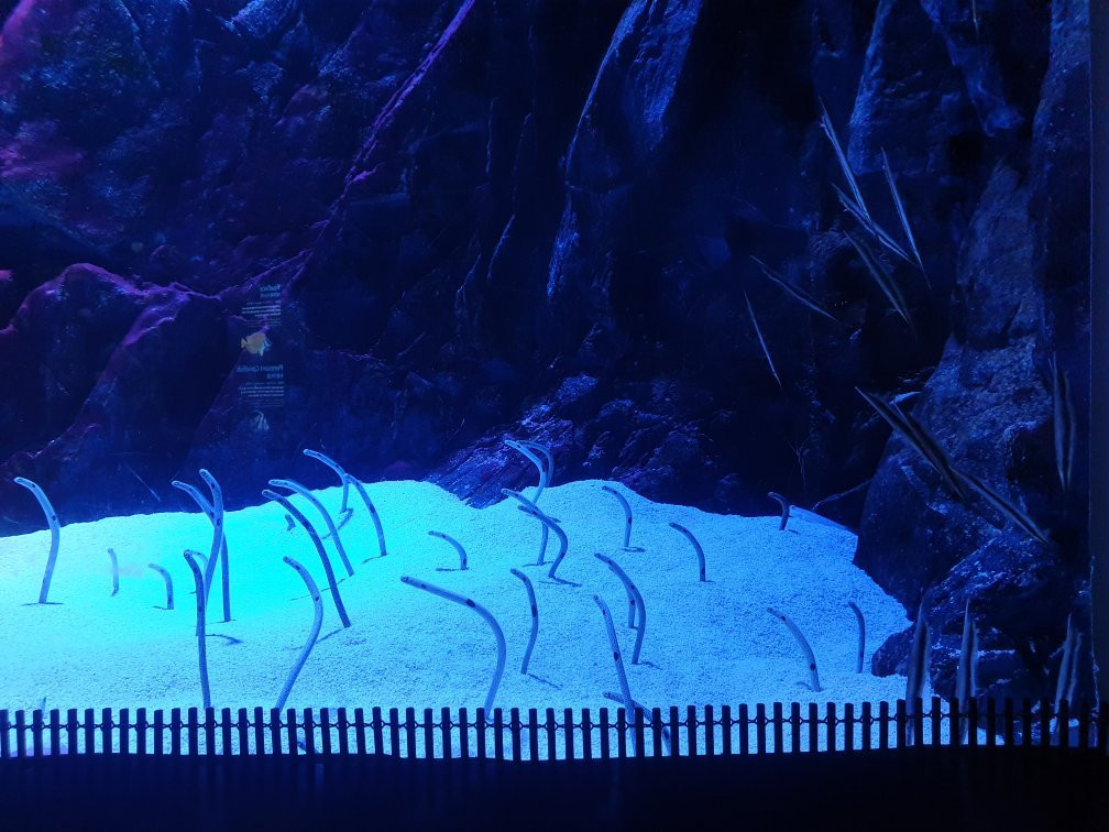 Hanwha Aqua Planet Ilsan-高阳市必去景点