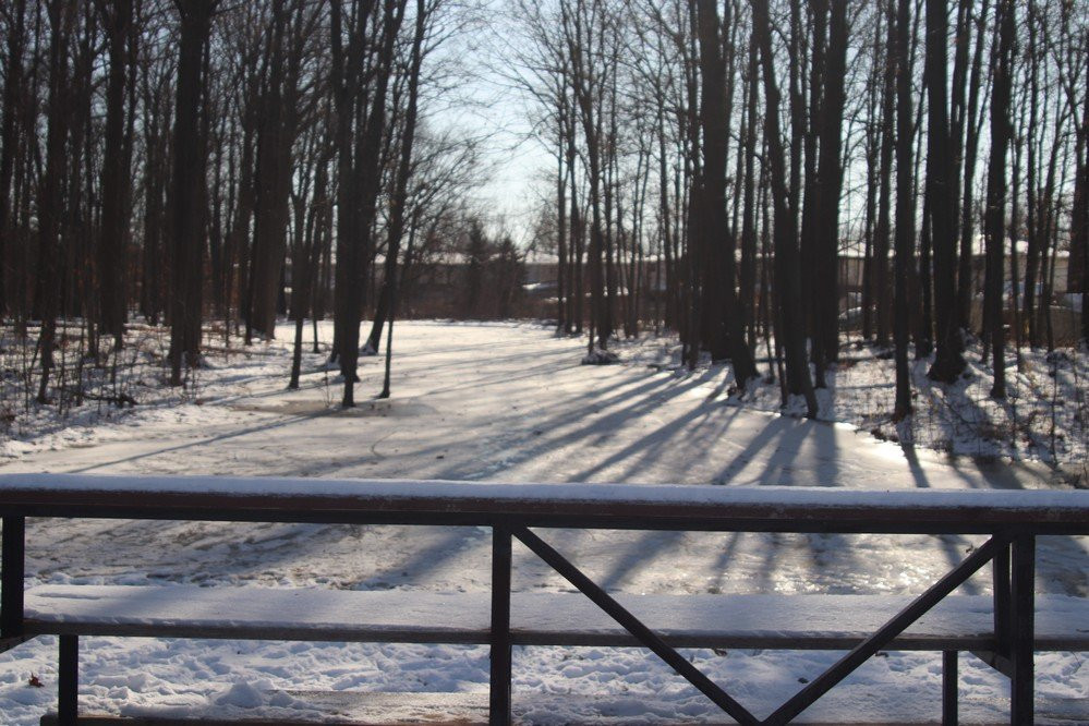 Woodlawn Park-Welland必去景点