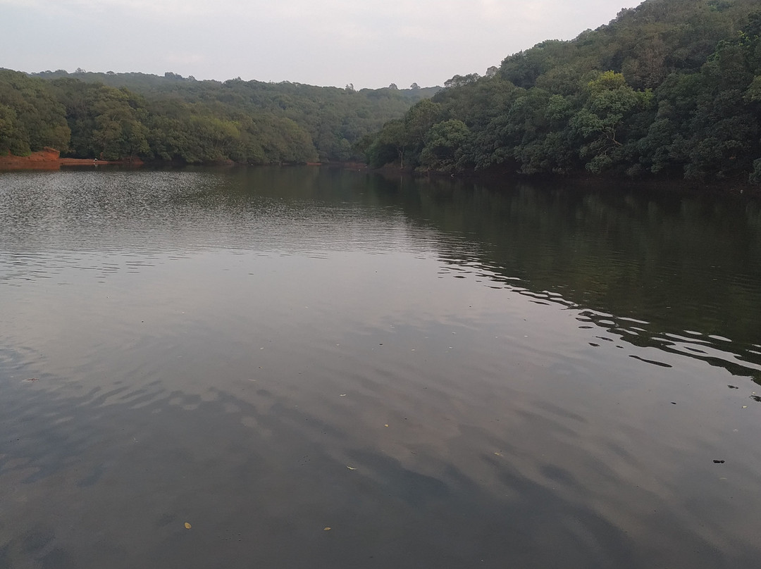 Neral-Matheran Toy Train景点图片