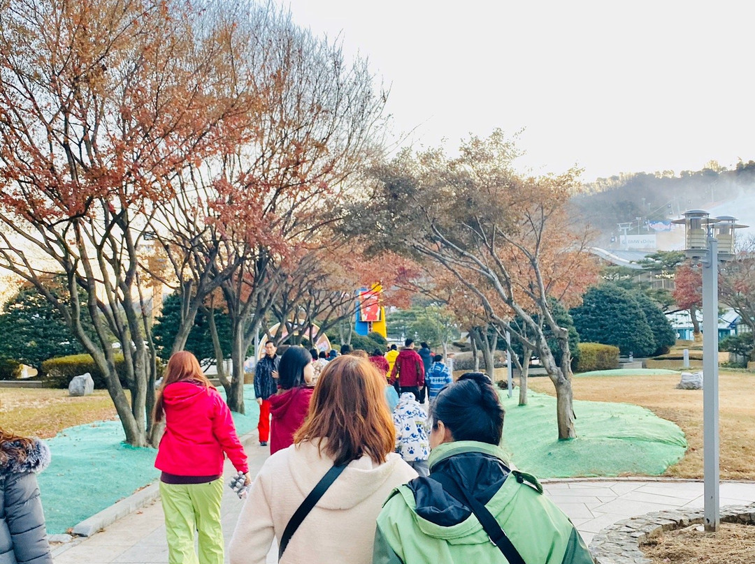 Vivaldi Park Ocean World-洪川郡必去景点