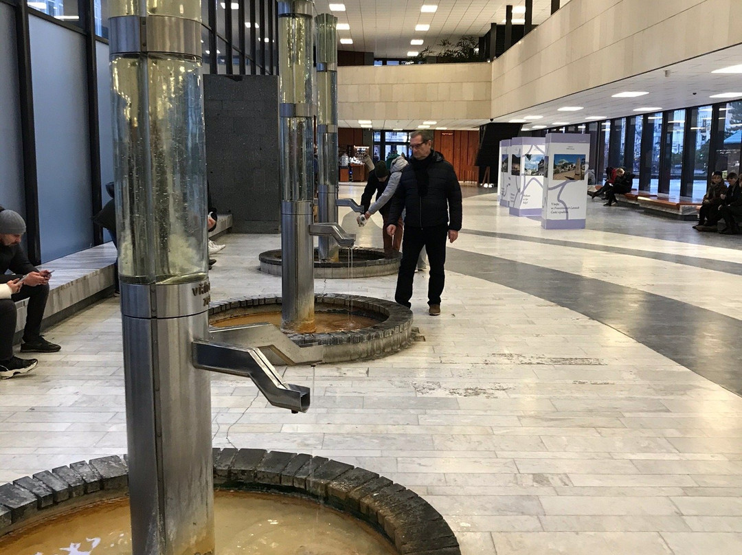 Hot Spring Colonnade-卡罗维发利必去景点