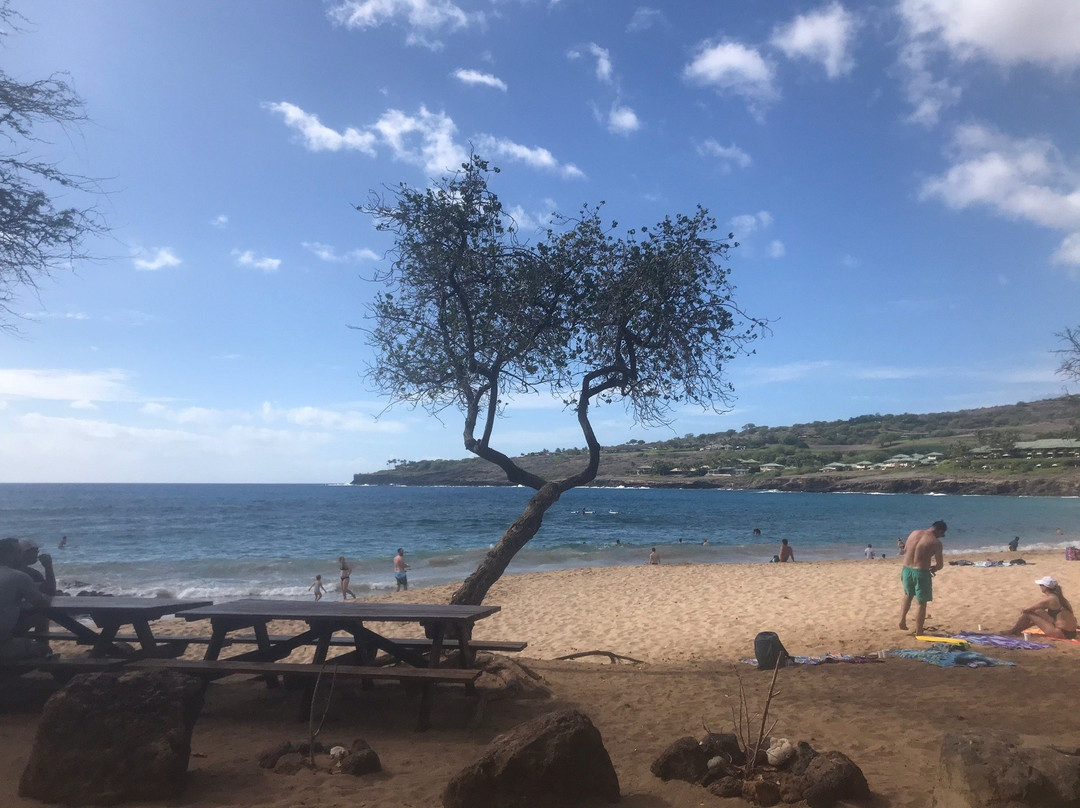 Sail Maui Private Tour-玛阿拉也亚必去景点