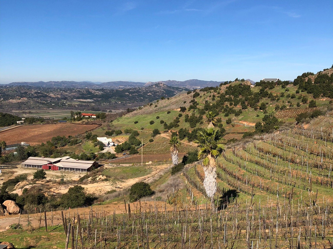 Cordiano Winery景点图片